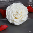 white / 9-10cm(1pc)