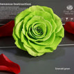 emerald green / 9-10cm(1pc)