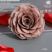 smoky / 9-10cm(1pc)