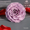 taro purple / 9-10cm(1pc)