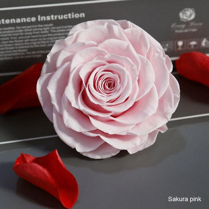 Timeless Grace: Luxurious Preserved Rose Head for Lasting Splendor - Très Elite