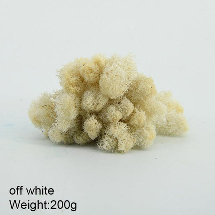 Timeless Greenery Art Creation Kit - Eternal Moss & Custom Grass Mix - 200g..