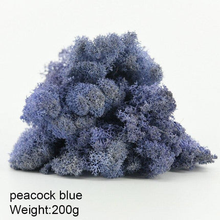 Timeless Greenery Art Creation Kit - Eternal Moss & Custom Grass Mix - 200g..