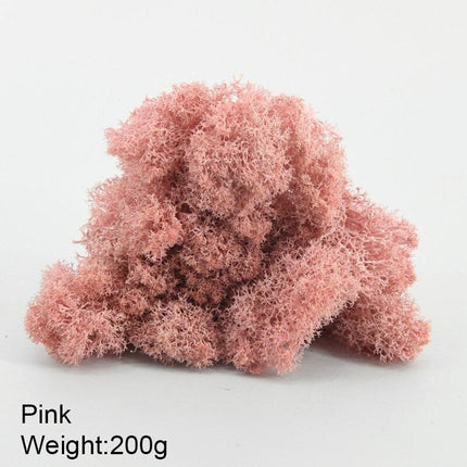 Timeless Greenery Art Creation Kit - Eternal Moss & Custom Grass Mix - 200g..