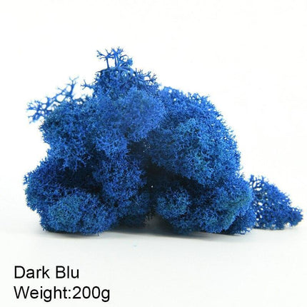 Timeless Greenery Art Creation Kit - Eternal Moss & Custom Grass Mix - 200g..