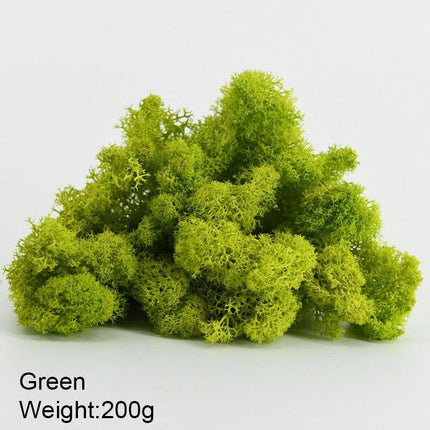 Timeless Greenery Art Creation Kit - Eternal Moss & Custom Grass Mix - 200g..