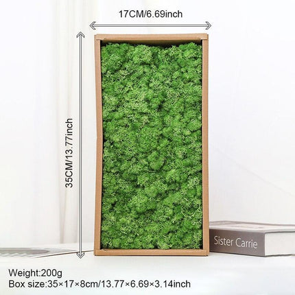 Timeless Greenery Art Creation Kit - Eternal Moss & Custom Grass Mix - 200g..