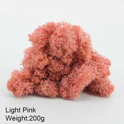 Timeless Greenery Art Creation Kit - Eternal Moss & Custom Grass Mix - 200g..