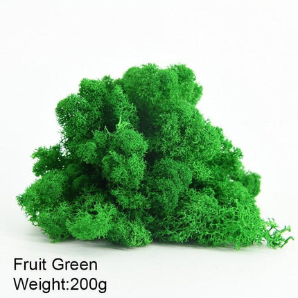 Timeless Greenery Art Creation Kit - Eternal Moss & Custom Grass Mix - 200g..