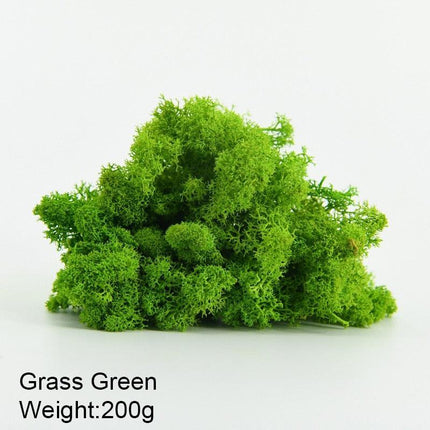Timeless Greenery Art Creation Kit - Eternal Moss & Custom Grass Mix - 200g..