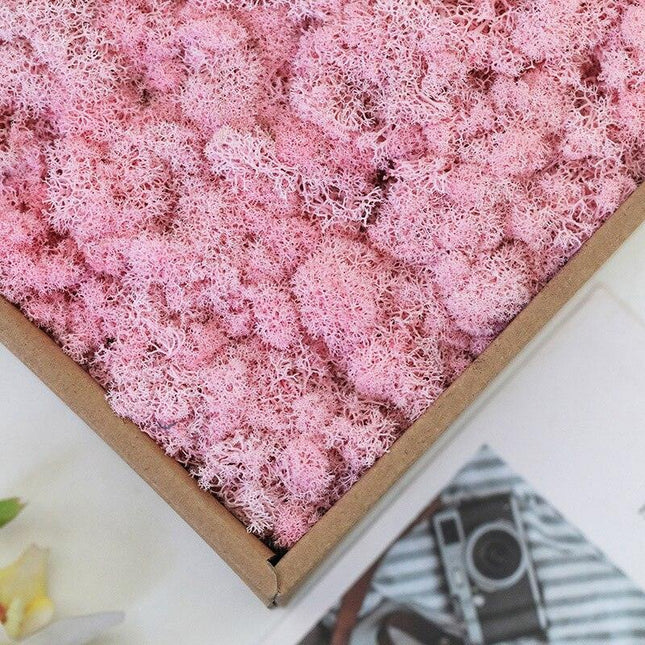 Timeless Greenery Art Creation Kit - Eternal Moss & Custom Grass Mix - 200g