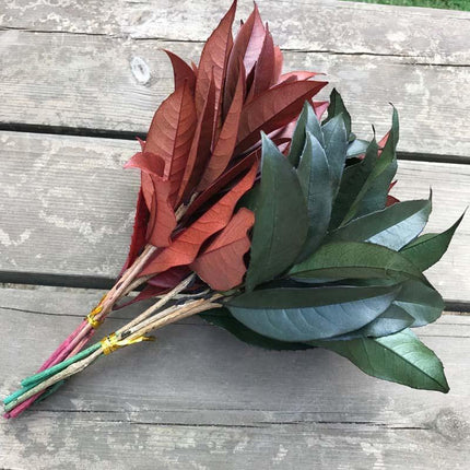 Timeless Osmanthus Leaf Collection - 5-Piece Preserved Set - Elegant Touch for Floral Creations - Très Elite