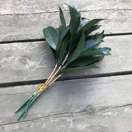 Timeless Osmanthus Leaf Collection - 5-Piece Preserved Set - Elegant Touch for Floral Creations - Très Elite