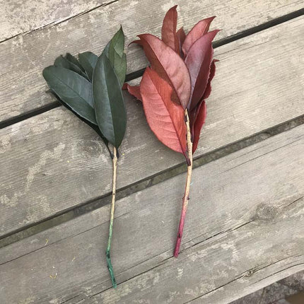 Timeless Osmanthus Leaf Collection - 5-Piece Preserved Set - Elegant Touch for Floral Creations - Très Elite