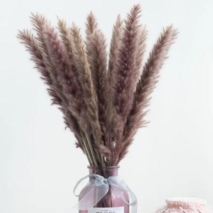 Timeless Pampas Reed & Whisk Dust Dried Flowers Collection for Elegant Home Decor & Events - Très Elite