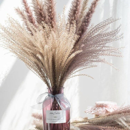 Timeless Pampas Reed & Whisk Dust Dried Flowers Collection for Elegant Home Decor & Events - Très Elite
