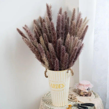 Timeless Pampas Reed & Whisk Dust Dried Flowers Collection for Elegant Home Decor & Events - Très Elite