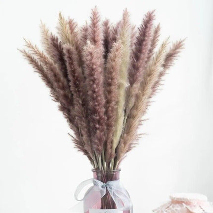 Timeless Pampas Reed & Whisk Dust Dried Flowers Collection for Elegant Home Decor & Events - Très Elite