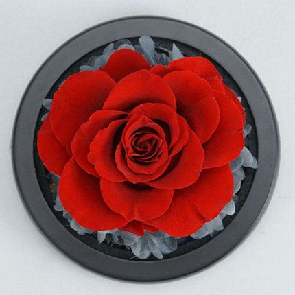 Timeless Romance: Enchanted Heart-Shaped LED Glass Dome with Forever Blooming Rose Arrangement - Très Elite
