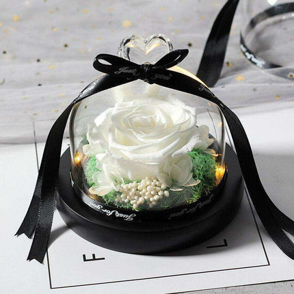 Timeless Romance: Preserved Rose in Glass Dome - A Cherished Token of Everlasting Love - Très Elite