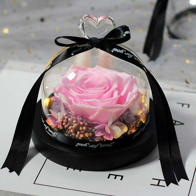 Timeless Romance: Preserved Rose in Glass Dome - A Cherished Token of Everlasting Love