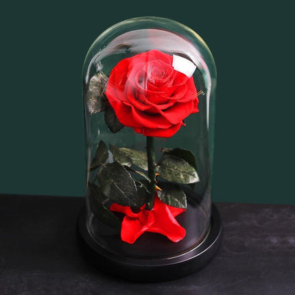 Timeless Romance: Stunning Preserved Rose in Glass Cloche - Authentic Bloom, Lasting Elegance, Enduring Beauty - Très Elite