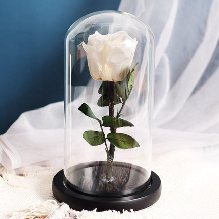 Timeless Romance: Stunning Preserved Rose in Glass Cloche - Authentic Bloom, Lasting Elegance, Enduring Beauty - Très Elite