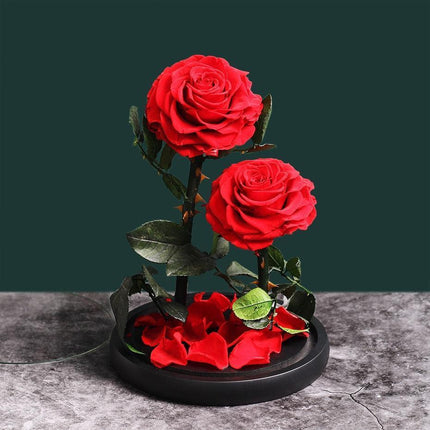 Timeless Romance: Stunning Preserved Rose in Glass Cloche - Authentic Bloom, Lasting Elegance, Enduring Beauty - Très Elite