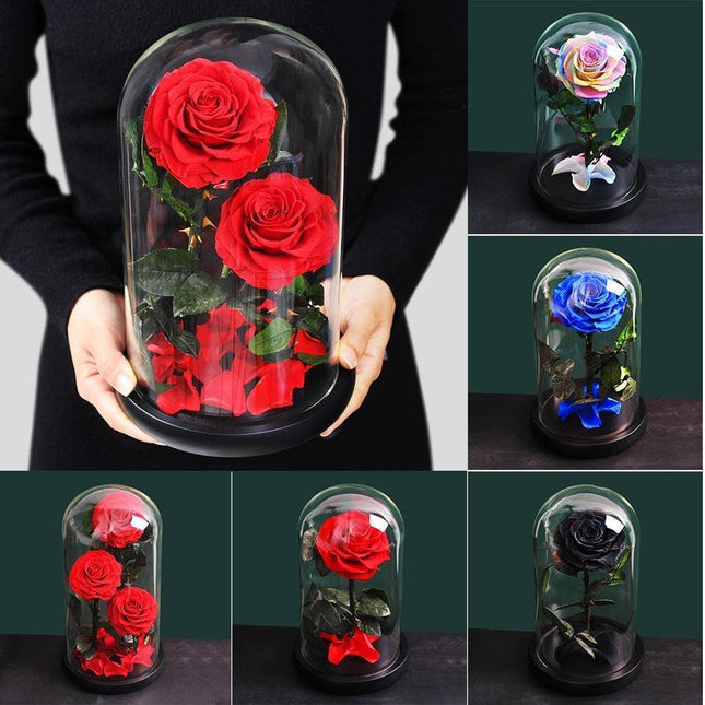 Timeless Romance: Stunning Preserved Rose in Glass Cloche - Authentic Bloom, Lasting Elegance, Enduring Beauty