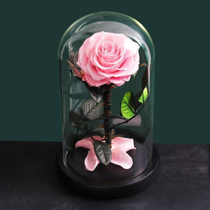 Timeless Romance: Stunning Preserved Rose in Glass Cloche - Authentic Bloom, Lasting Elegance, Enduring Beauty - Très Elite