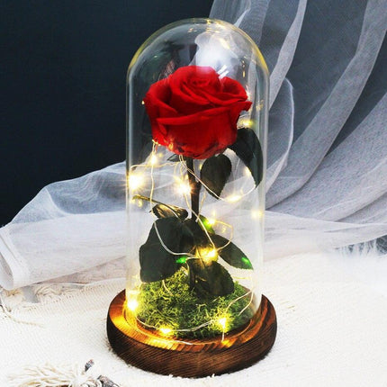 Timeless Romance: Stunning Preserved Rose in Glass Cloche - Authentic Bloom, Lasting Elegance, Enduring Beauty - Très Elite