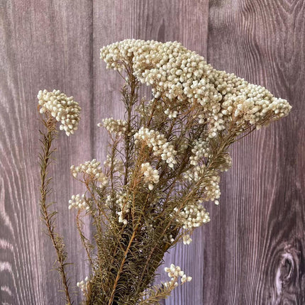 Timeless Treasures: Preserved Millet Flowers for Elegant Wedding Decor - Très Elite