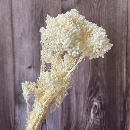 Timeless Treasures: Preserved Millet Flowers for Elegant Wedding Decor - Très Elite