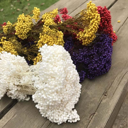 Timeless Treasures: Preserved Millet Flowers for Elegant Wedding Decor - Très Elite