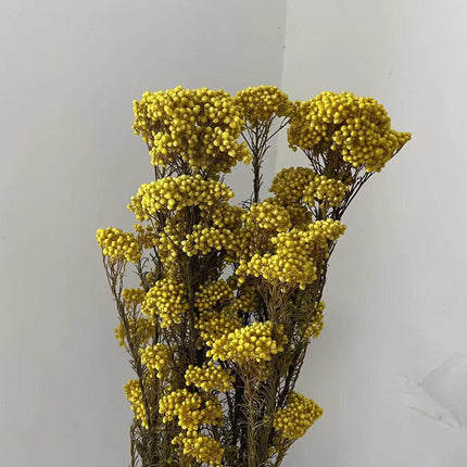 Timeless Treasures: Preserved Millet Flowers for Elegant Wedding Decor - Très Elite
