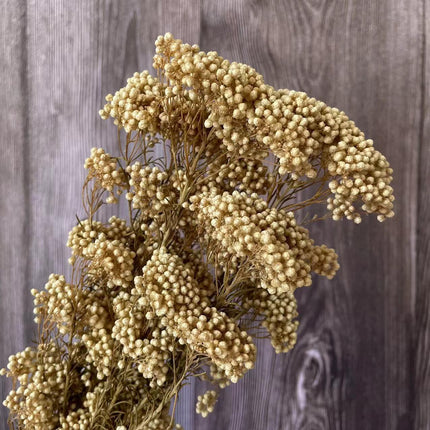 Timeless Treasures: Preserved Millet Flowers for Elegant Wedding Decor - Très Elite