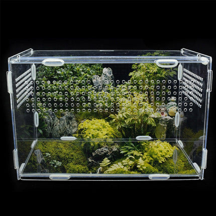 Transparent Acrylic Enclosure for Reptile Habitat and Insect Observation