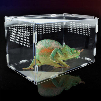 Transparent Acrylic Enclosure for Reptile Habitat and Insect Observation