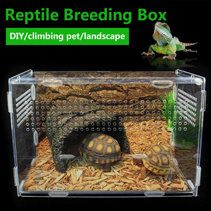 Transparent Acrylic Enclosure for Reptile Habitat and Insect Observation
