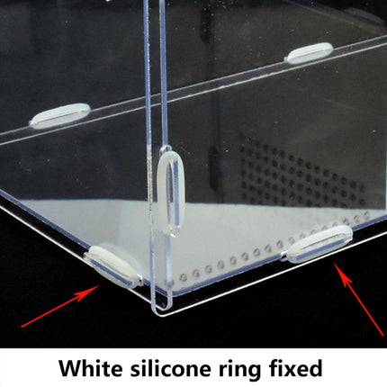 Transparent Acrylic Enclosure for Reptile Habitat and Insect Observation