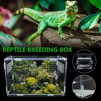 Transparent Acrylic Enclosure for Reptile Habitat and Insect Observation