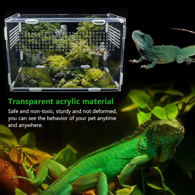 Transparent Acrylic Enclosure for Reptile Habitat and Insect Observation