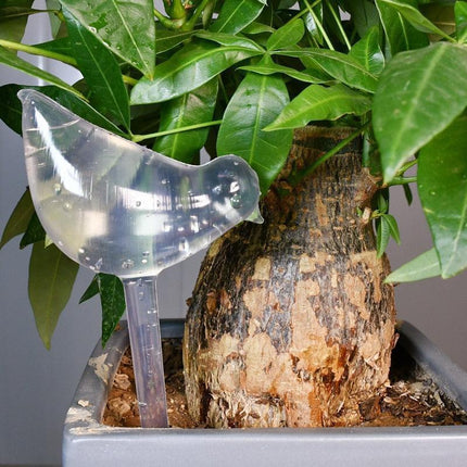 Transparent Automatic Drip Irrigation System for Indoor Plant Care with Water Level Monitor - Très Elite