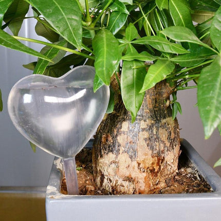 Transparent Automatic Drip Irrigation System for Indoor Plant Care with Water Level Monitor - Très Elite