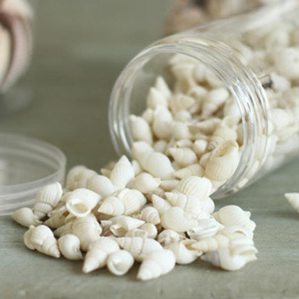 Tropical Conch Shells - 100-Piece Decorative Craft Set for Home and Parties