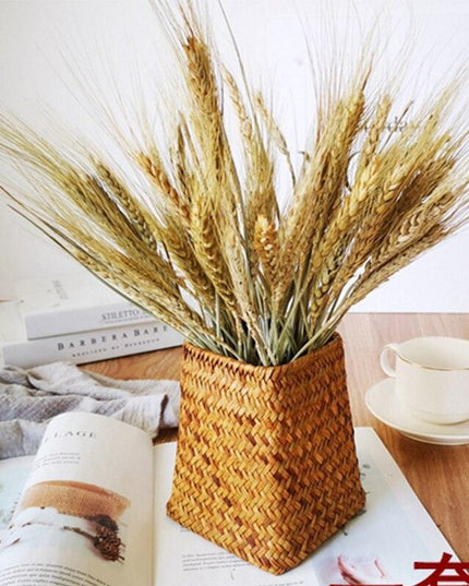 Elegant Dried Flower Arrangement with Rabbit Tail Pampas Grass and Wheat Ears - Premium Natural Decor for Home and Events