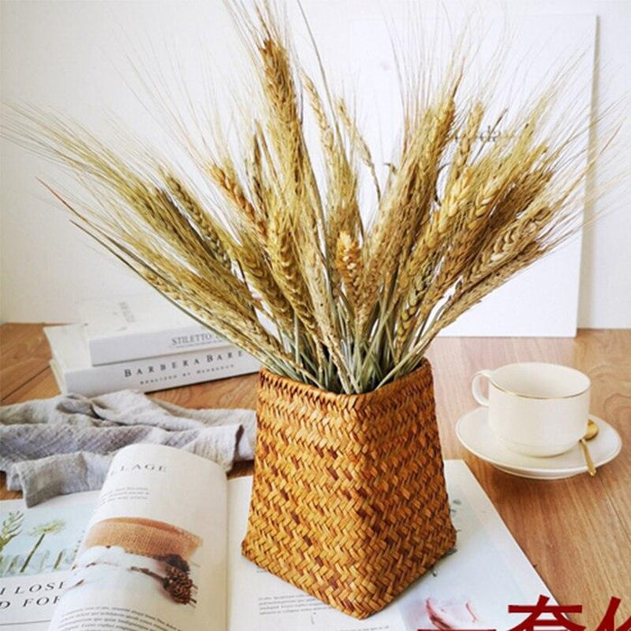 Exquisite Rabbit Tail Pampas Grass and Wheat Ear Dried Flower Bouquet - Premium Wedding and Home Decor