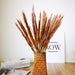 Exquisite Rabbit Tail Pampas Grass and Wheat Ear Dried Flower Bouquet - Premium Wedding and Home Decor - Natural Beauty for Any Setting