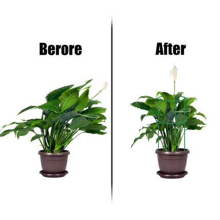 Versatile Plant Support Stake: Essential Tool for Thriving Gardens and Greenhouses - Très Elite
