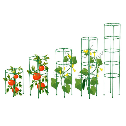 Versatile Plant Support Stake: Essential Tool for Thriving Gardens and Greenhouses - Très Elite
